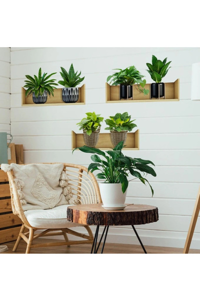 shopwave Adhesive Sticker with Shelf Plant Design 20*30 cm Set of 3 (5047)