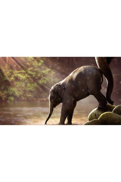 Persona Tablou canvas 100 x 70 cm, Animale model 583