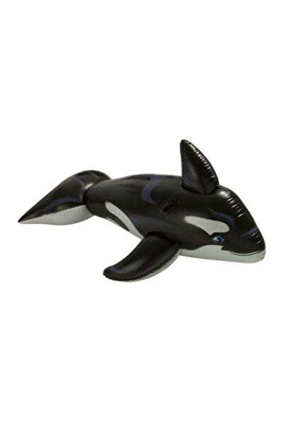 Intex Dolphin Pool Ride On
