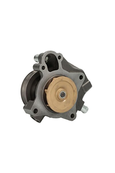 MAGNETI MARELLI Pompa Apa Iveco Daily V Citroen Jumper Iii Fiat Ducato Peugeo...