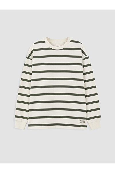 LC Waikiki Khaki Crew Neck Striped Boys' T-Shirt