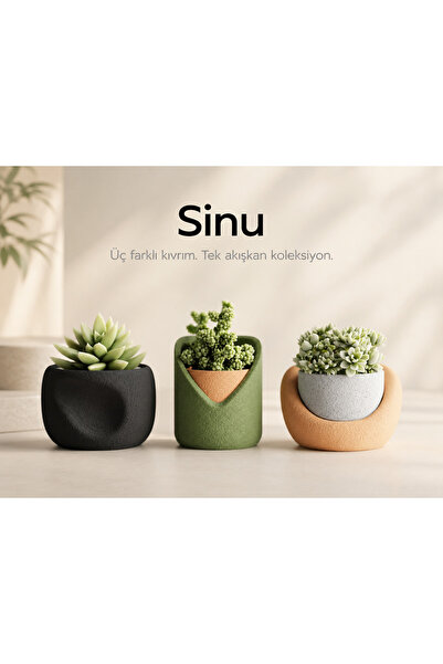 Viola Edition Sinu 3’lü Dekoratif Mini Saksı Seti Sukulent ve Kaktüs Saksısı