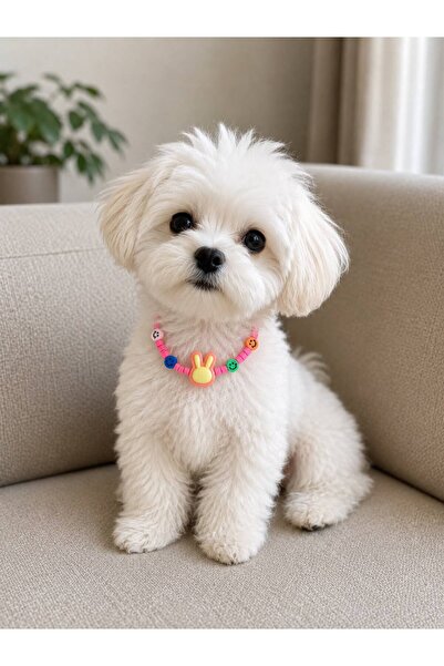 Pawellia.co Stylish Design Cat Collar Cat Necklace Small Breed Dog Collar Dog...