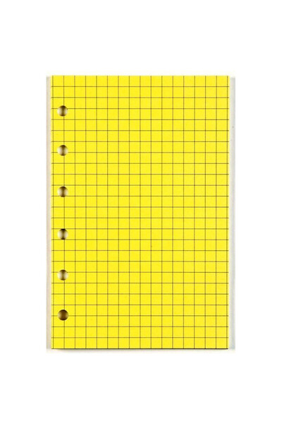 Antra Insertie organizator A5 Antra, galben, 15x22cm, folie
