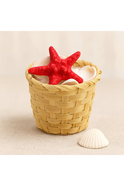 magicool Mussel and Sea Shell Vase Stone (with Wooden Basket, Small)