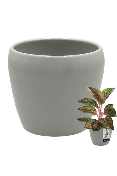 KOTARBAU Ghiveci de flori 12 cm, ceramică glazurată gri, pentru flori și ierb...