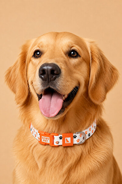 GOBYPET Köpekler İçin Dayanıklı Ve Güvenli, Desenli Boyun Tasması ( 25mm )