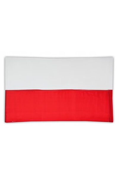 Carruzzo Poartă metalică mare pentru fotbal, 300x200cm, stabilă, cu plasă.