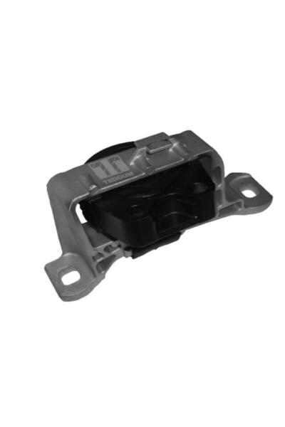 TEDGUM Suport motor 00221651