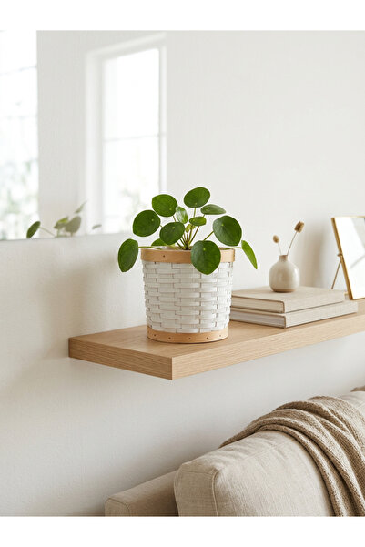 ELZEY HOME Bambu Dekoratif Saksılık 14x12 cm Beyaz