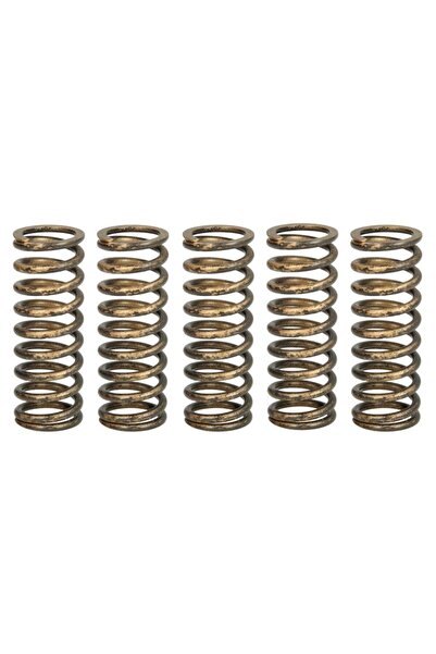 TRW Set Arcuri Ambreiaj Honda Crf 250 2018-2022 HONDA CRF