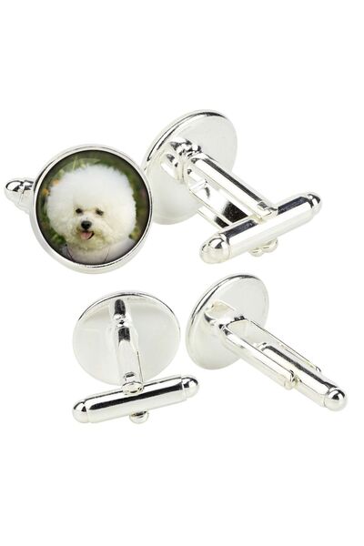 Art - Dog Butoni Bichon Frise în cutie cadou