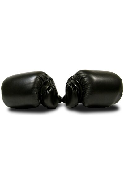 Master Mănuși de box 12 Oz