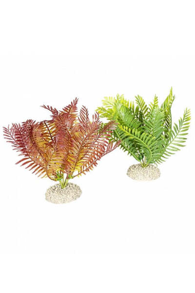 AQUA D'ELLA Plant Bolbitis for Aquariums