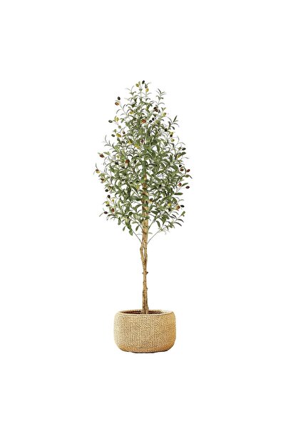 Garvee Artificial Olive Tree, Faux Plant for Living Room, Entryway, Office