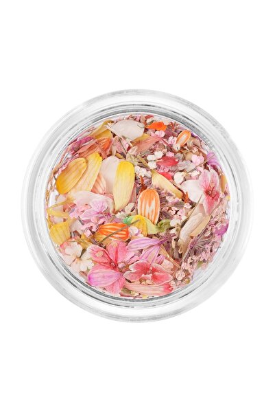 LUXORISE Dried Flowers Nails - Pure Pastel