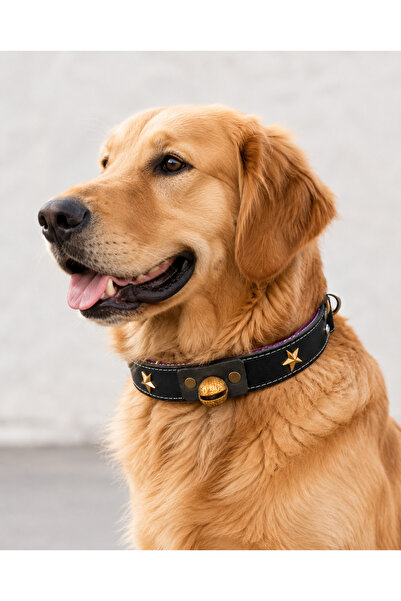 YILPAX Zilli Hakiki Deri Köpek Boyun Tasması Yıldız Süslü Çıngıraklı Büyük Irk 70 cm Siyah