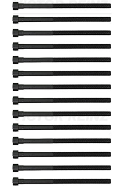 VICTOR REINZ 14-12261-03 ȘURUBURI CAP BMW 3 F30 3,0 15-