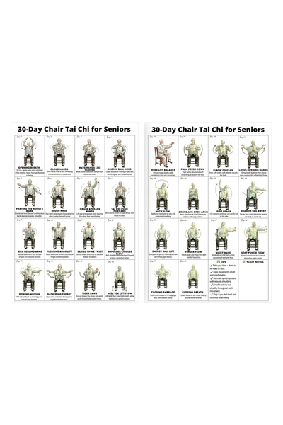 Choice A Tai Chi Exercise Plan Poster for Seniors 30 Day Home Fitness Guide w...
