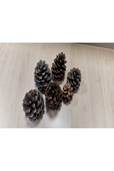 onlyrose Natural, Dye-Free, Drug-Free, Large-Sized Giant Pine Cone Christmas ...