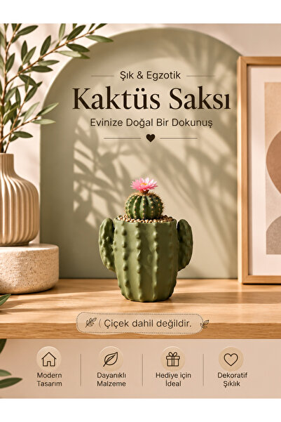 SYLVA CONCEPT Dekoratif Kaktüs Saksısı | 3D Baskı PLA Masaüstü Saksı