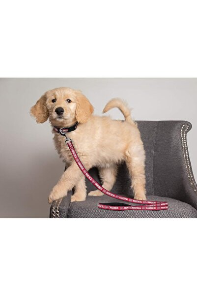 Pets First لعبة مطاطية للكلاب متينة مع حبل سحب قوي للكلاب. لعبة كرة هوكي الجل...