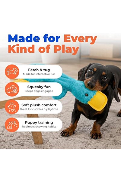 Best Pet Supplies لعبة كلب مجعدة للكلاب الصغيرة والمتوسطة، بطة لطيفة بدون حشو...