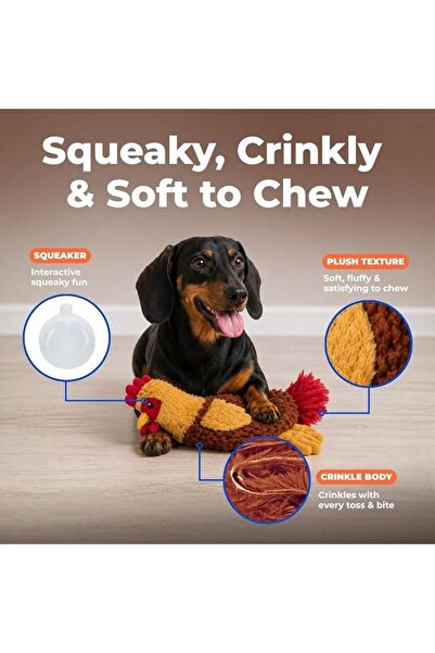 Best Pet Supplies لعبة كلب مجعدة للكلاب الصغيرة والمتوسطة، بطة لطيفة بدون حشو...