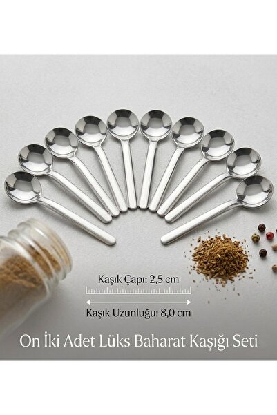 TARIK HOME 12'li Paslanmaz Çelik Baharat Kaşığı ,Kahve ve Şeker Kaşığı 8 cm