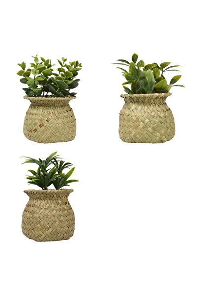 Atmosphera Plantă artificială în ghiveci "Jil" - 10x10 cm