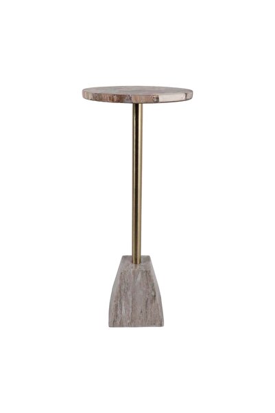Sagebrook Home 24" WAYNE PETRIFIED WOOD COCKTAIL TABLE