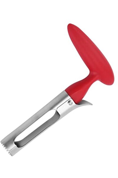 STARSTAR Professional Stainless Steel Apple Paste and Fruit Slicer - Durable ...