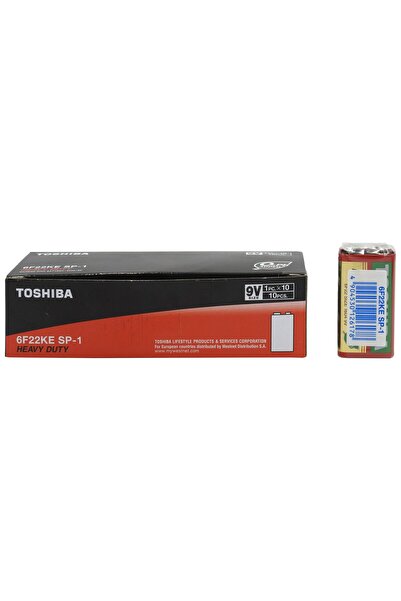 Generic Brand Battery & Charger