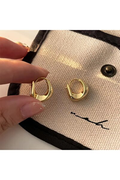 Choice1 GOLD 925 Sterling Silver Earrings for Women Ear Hoop Versatile Sweet ...