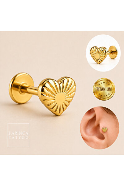 Karınca Piercing Deniz Kalp Titanyum Piercing Premium Helix Burun Conch Flat ...