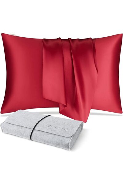 DISANGNI 100% Natural Mulberry Silk Pillow case for Hair and Skin with Hidden...