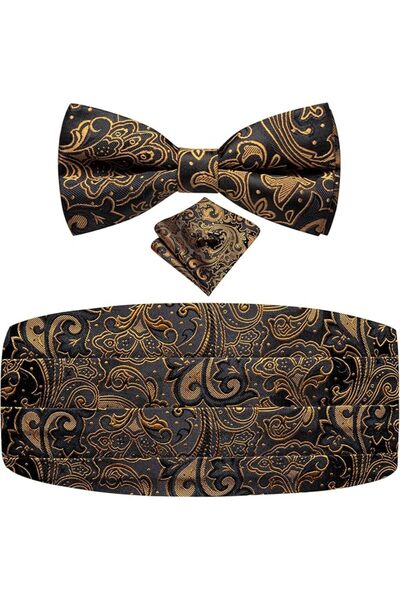 Dubulle Mens Paisely Silk Tie for Men Necktie and Pocket Square Set