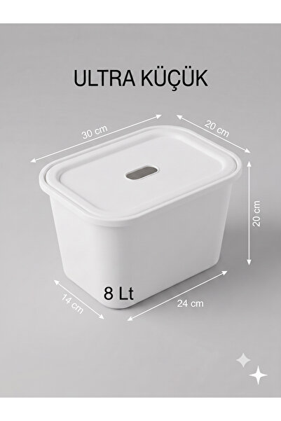 decosense Ultra Small 8 Liter 30X20X20 cm Polypropylene Plastic Organizer wit...