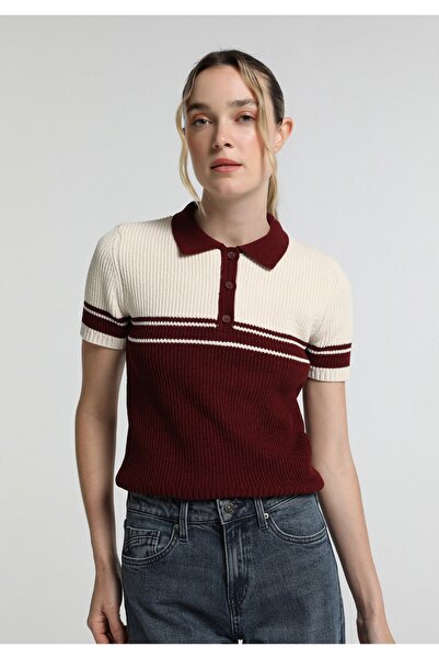 Colin's Slim Fit Polo Collar Striped Women's Burgundy Short Sleeve Sweater