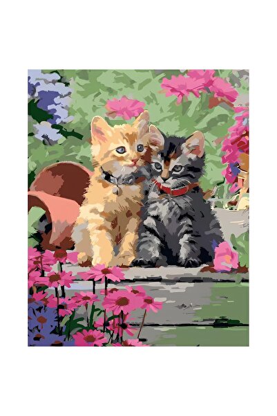 NEVERMORE Set pictura pe numere - panza pe rama lemn 40x50 cm, doua pisici, N...