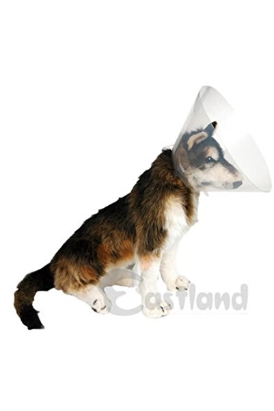 Eastland Nhr-Hlss Collar (Elizabet) (152352) 25 cm