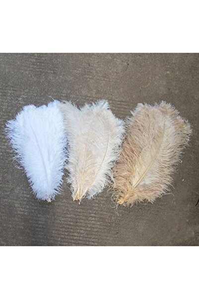 NO BRAND PENE DE PENE DE GÂMB NATURALE 65-70cm BEJ 01