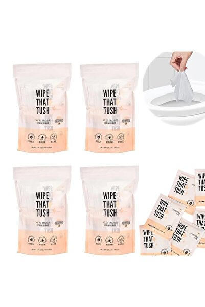 Generic Brand 4Pack Wet Wipes Individually Wrapped, On-The-Go Flushable Wet W...