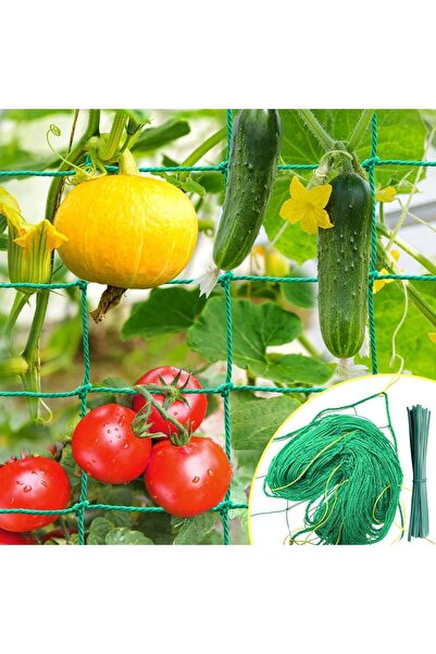 OEM Plasă de susținere pentru grădină, 1.8x1.8m, pentru plante cățărătoare, C...