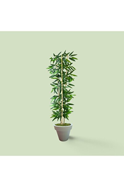 florayapaycicekcom Beyaz Saksılı Yapay Bambu Ağacı 140 cm