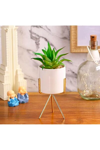 Generic Metal Flower Vase Planter Pot with Iron Stand, Pots for Plants, Plant...