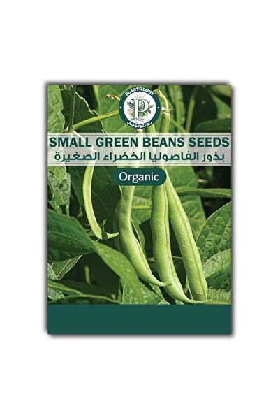Generic Bean Seeds for Planting - Small Green Bean Vegetable Seeds for Planti...