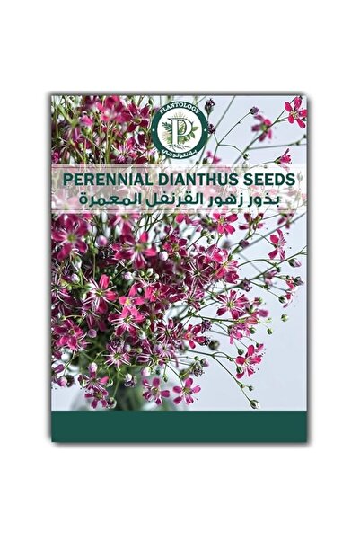 Generic Perennial Dinathus Flower Seeds for Planting - Dinathus Flower Seeds ...