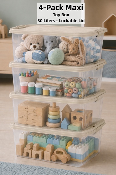 Meleni Baby 4-Piece Toy Organizing Box - Storage Box with Locking Lid, Baby R...