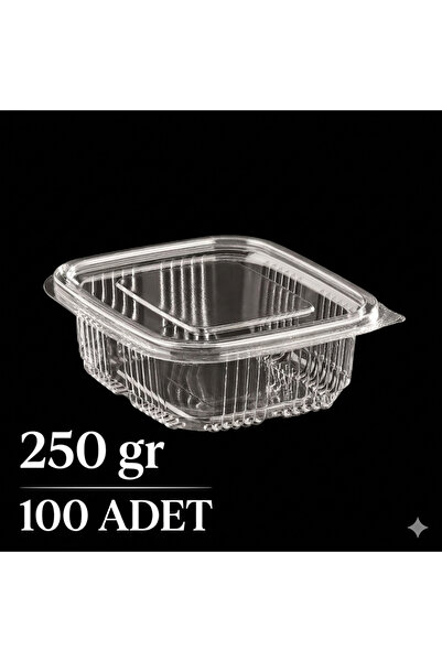 Merpak Ambalaj Plastik Saklama Kabı 250 gr 100'lü Kapaklı Sızdırmaz Kap Şeffaf Kullan At Kase